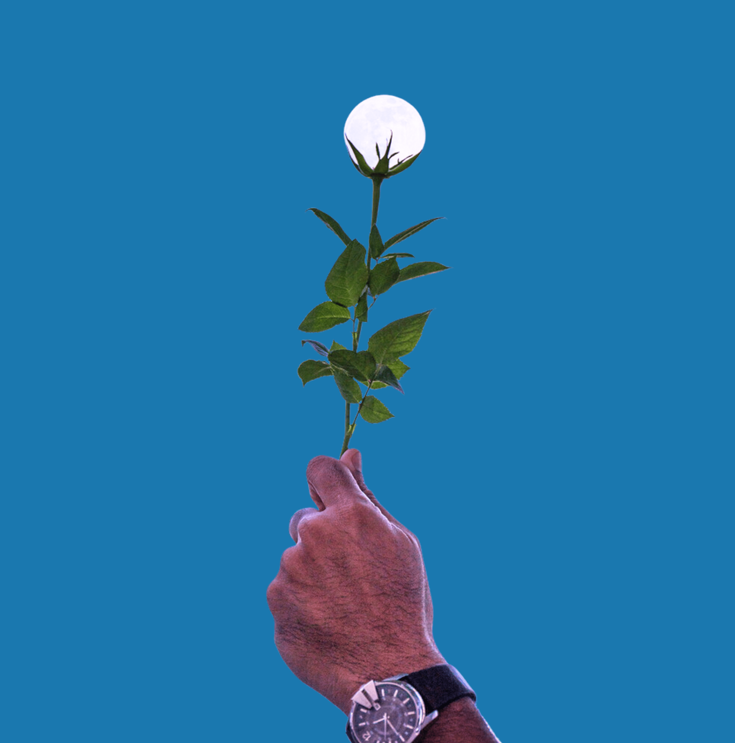 Boost Your Business with the best Digital Marketing Agency in Lebanon